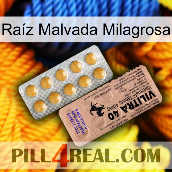 Raíz Malvada Milagrosa 41